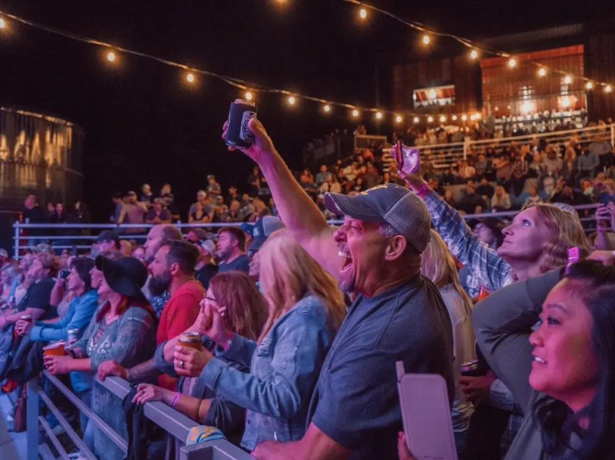 A crowd enjoying live music under string lights at an outdoor concert in Northwest Illinois